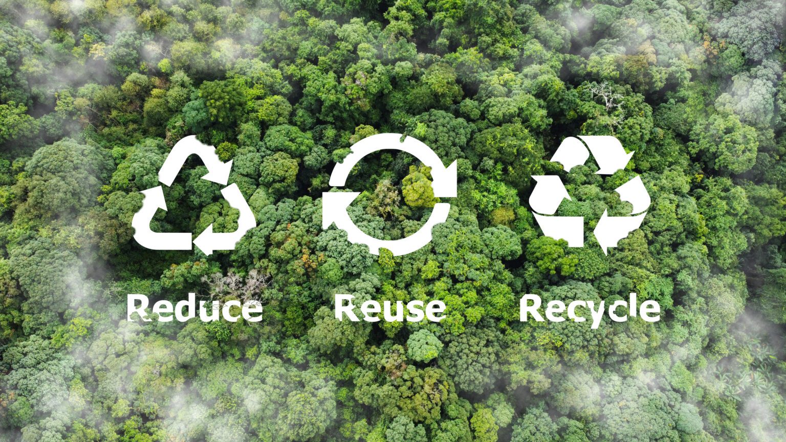 Reuse Why How to Reduce, Reuse, Recycle - 2024 Sustainability Guide